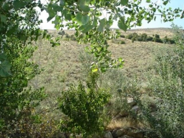 306 Steep Mountain Dr, Draper, UT 84020 — photo 10