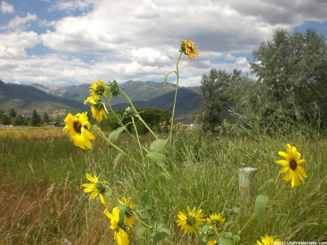 233 E 300 N #10, Midway, UT 84049 — photo 2