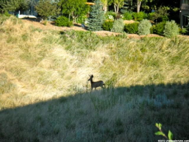 305 Red Fox Trce, Logan, UT 84321 — photo 2