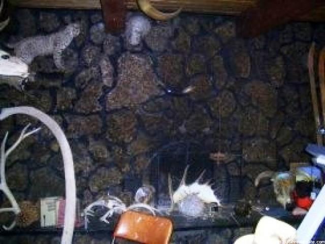 249 W Canyon Rd, Bloomington, ID 83223 — photo 7