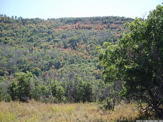 1813 Greenleaf Rd #341, Heber City, UT 84032 — photo 7