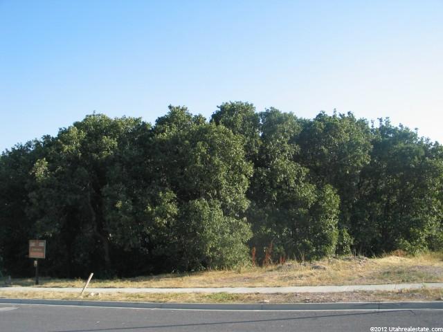 2979 S Lewis Park Cv, Bountiful, UT 84010 — photo 2