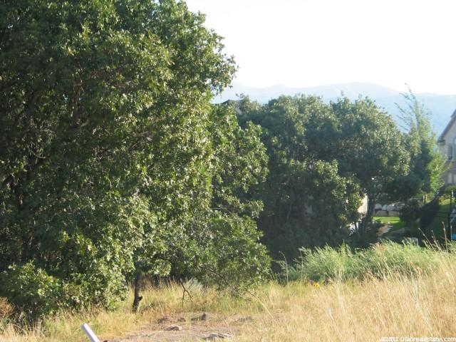 2979 S Lewis Park Cv, Bountiful, UT 84010 — photo 10