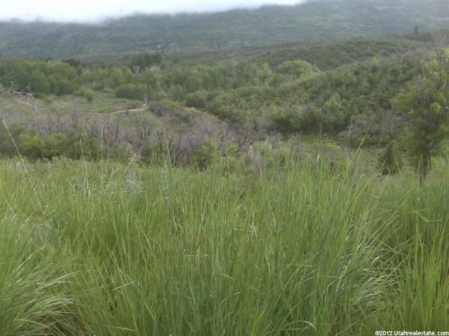 10285 E Witts Cir #1149, Heber City, UT 84032 — photo 2