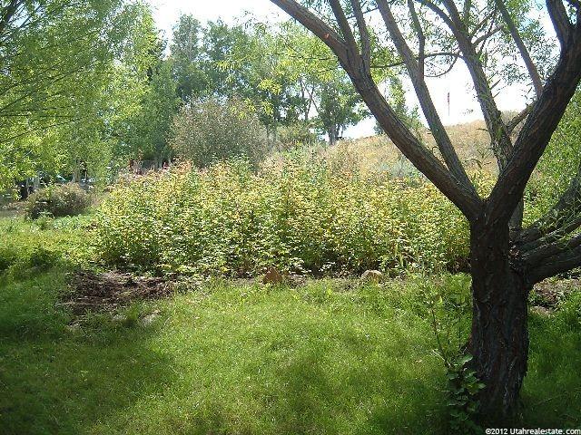 998 E Ridgeway Loop, Garden City, UT 84028 — photo 3