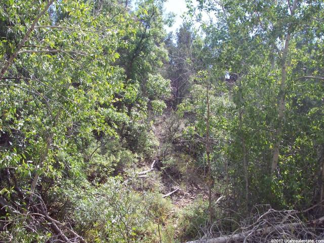 38805 Cobblestone Rd, Tabiona, UT 84072 — photo 12