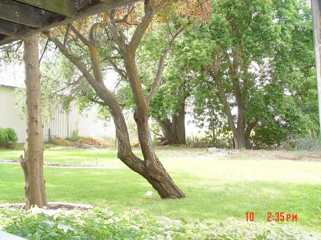 2675 N 4350 W, Plain City, UT 84404 — photo 11