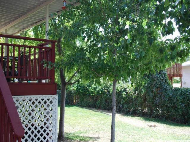 889 N 200 W, Brigham City, UT 84302 — photo 6