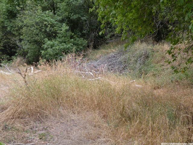 6500 E Canyon Rd #5, Springville, UT 84663 — photo 12