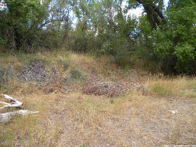 6500 E Canyon Rd #5, Springville, UT 84663 — photo 9