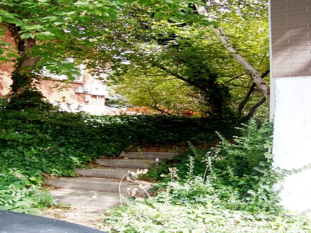 4575 Wallace Ln, Holladay, UT 84117 — photo 8