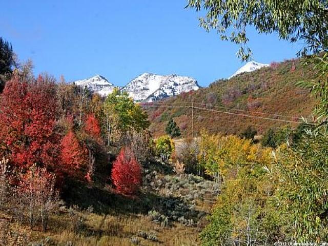 9450 S Meadow Dr, Provo, UT 84604 — photo 5