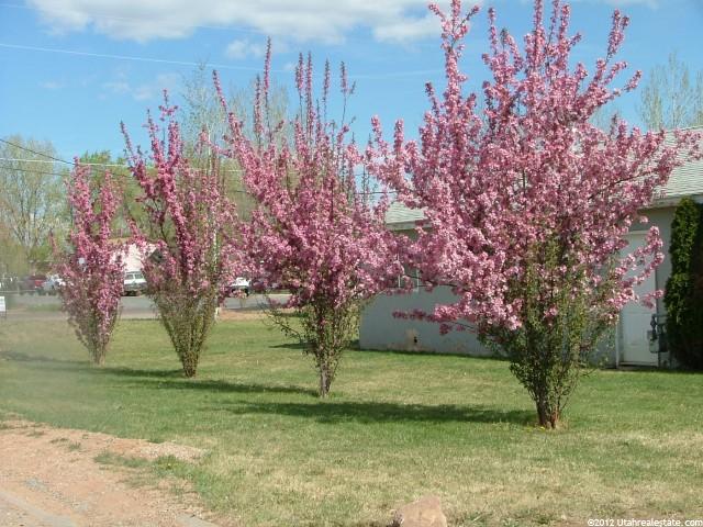 620 S 200 E, Roosevelt, UT 84066 — photo 4