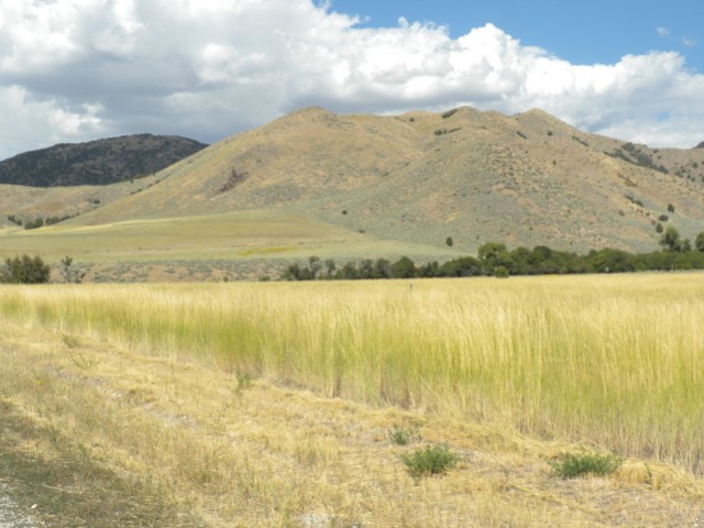 3850 E 5500 N ##2, Malad City, ID 83252 — photo 8