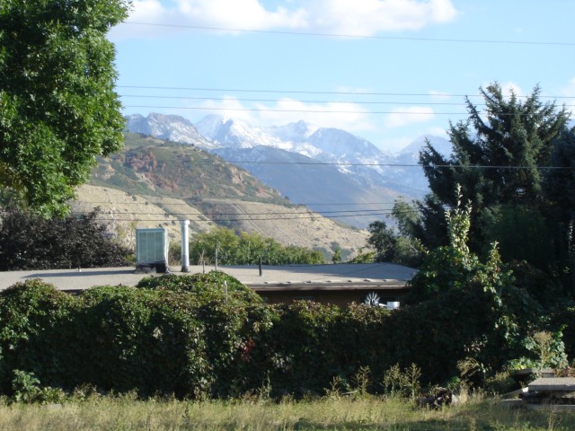 2668 E 4510 S, Holladay, UT 84117 — photo 6