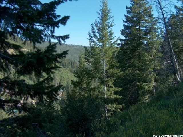 520 Matterhorn Dr #314, Snyderville, UT 84098 — photo 5