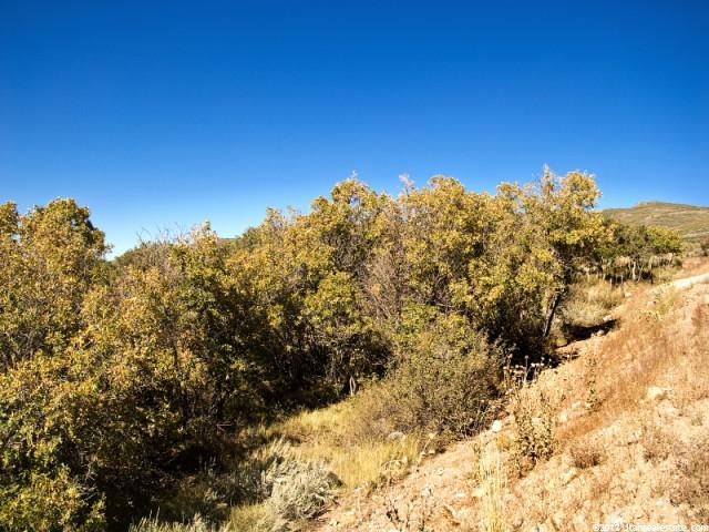 1120 E Lasso Trl #46, Hideout, UT 84036 — photo 11