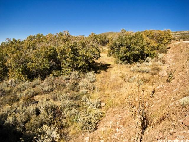 1120 E Lasso Trl #46, Hideout, UT 84036 — photo 7