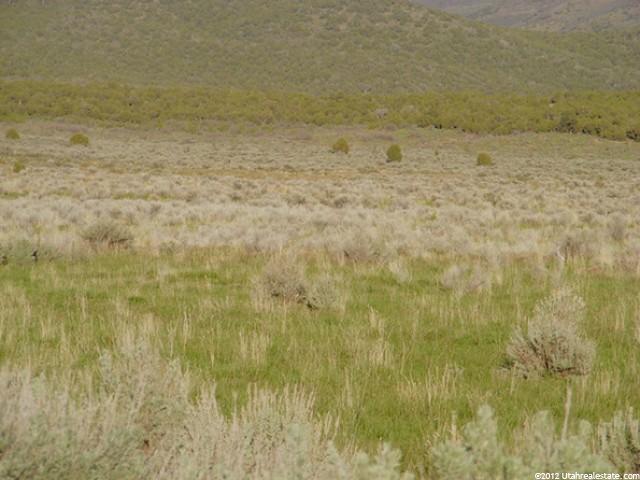 204 Mt Pass, Holden, UT 84636 — photo 2