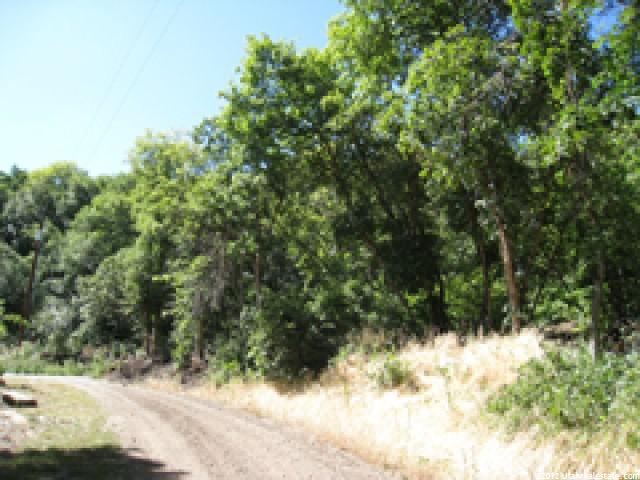 130 Spring Ln #139, Midway, UT 84049 — photo 4