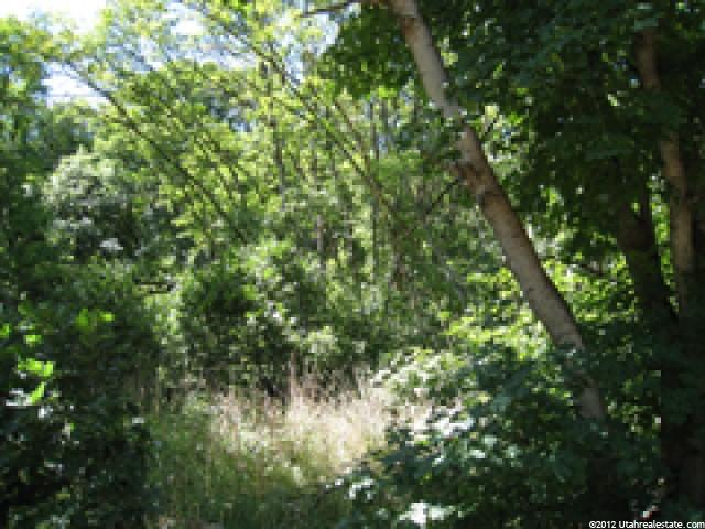 130 Spring Ln #139, Midway, UT 84049 — photo 5