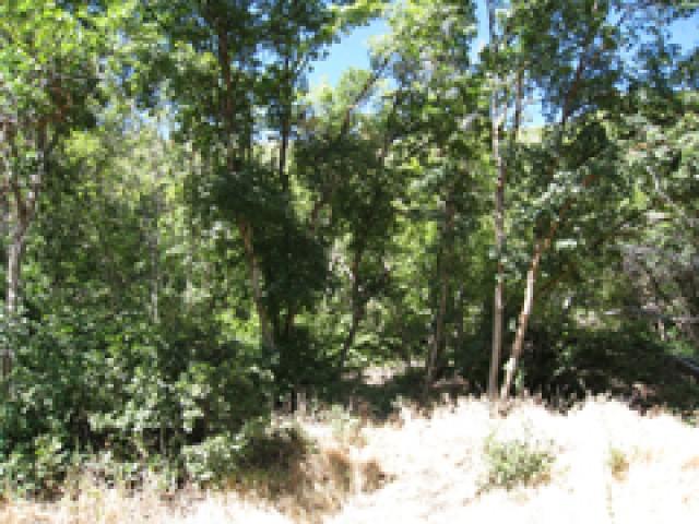130 Spring Ln #139, Midway, UT 84049 — photo 7