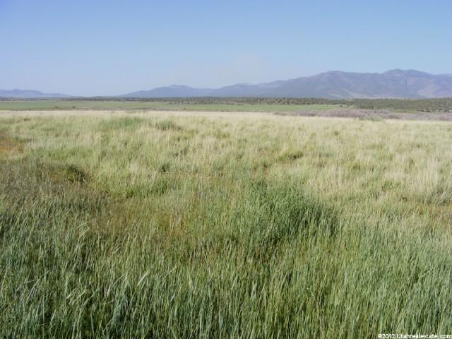 955 S I15 E Frontage Rd, Holden, UT 84636 — photo 3