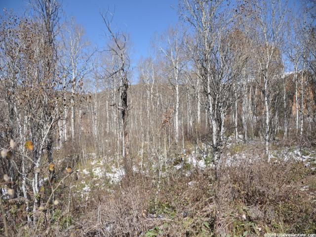 698 Conifer Dr #687, Oakley, UT 84055 — photo 2