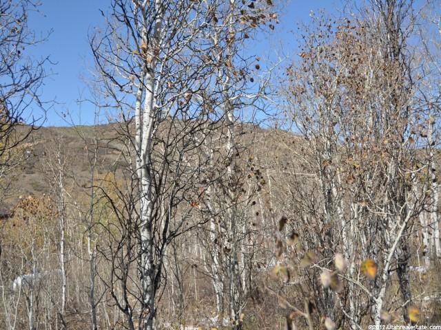 698 Conifer Dr #687, Oakley, UT 84055 — photo 3