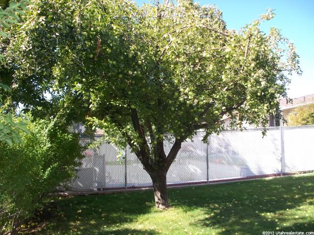 1315 W 1150 N, Layton, UT 84041 — photo 12