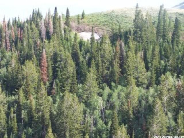 3850 E 5500 N #14, Malad City, ID 83252 — photo 4