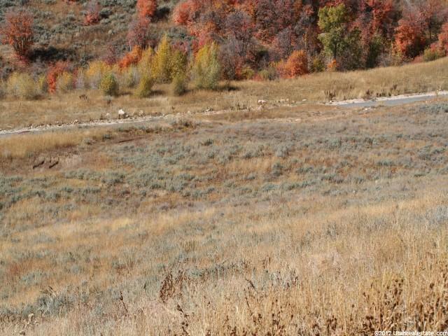 1100 N Maple Dr E, Huntsville, UT 84317 — photo 5