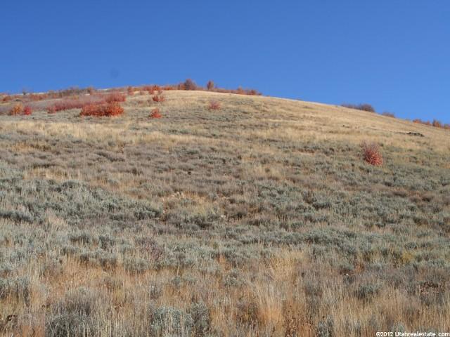 1100 N Maple Dr E, Huntsville, UT 84317 — photo 6