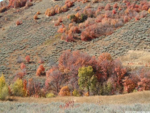 1100 N Maple Dr E, Huntsville, UT 84317 — photo 10