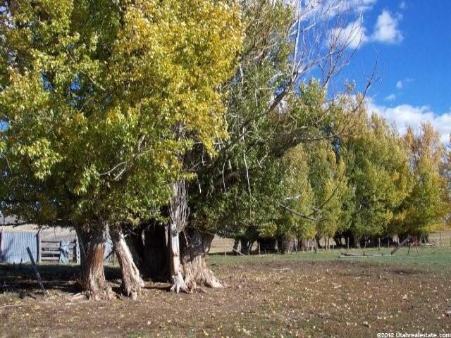 1067 Shepherd Rd, Montpelier, ID 83254 — photo 11