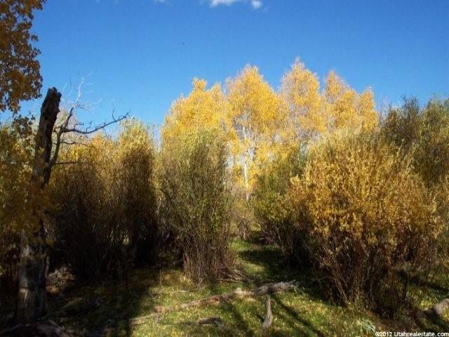 1067 Shepherd Rd, Montpelier, ID 83254 — photo 9