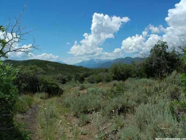 9885 N Uinta Dr, Heber City, UT 84032 — photo 6
