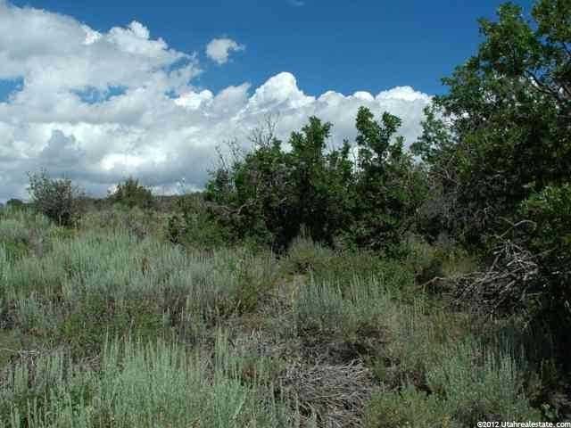 9885 N Uinta Dr, Heber City, UT 84032 — photo 7