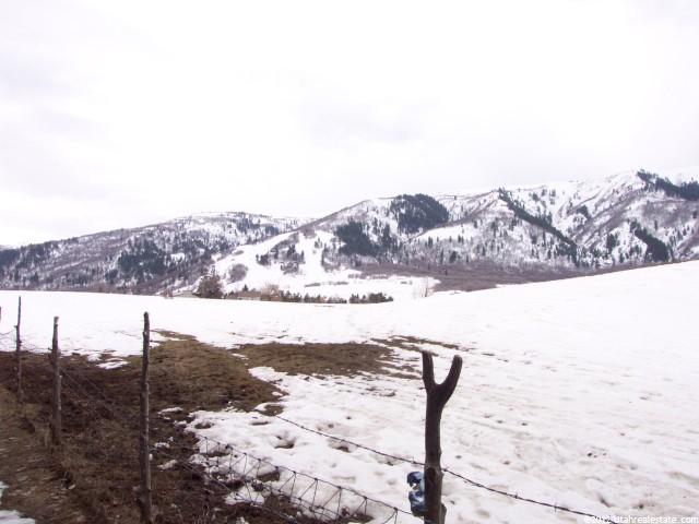 3395 N Hwy 162, Liberty, UT 84310 — photo 8