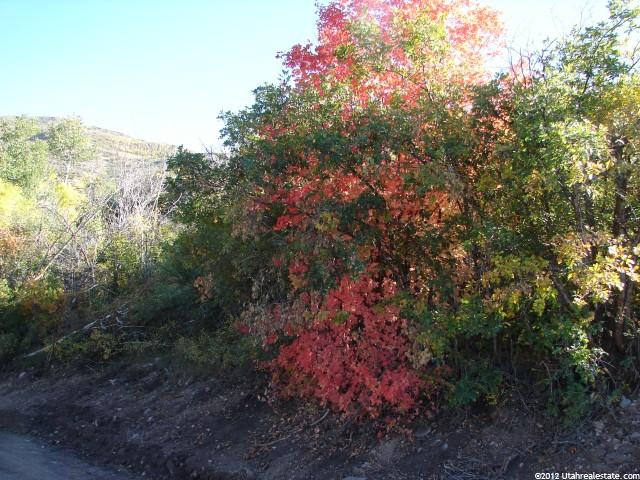 1803 Beaver Bench Rd #1428, Heber City, UT 84032 — photo 2