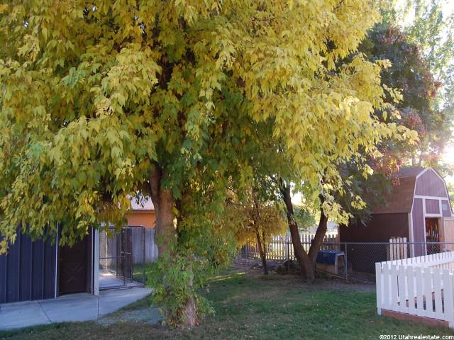 388 E 700 N, American Fork, UT 84003 — photo 4