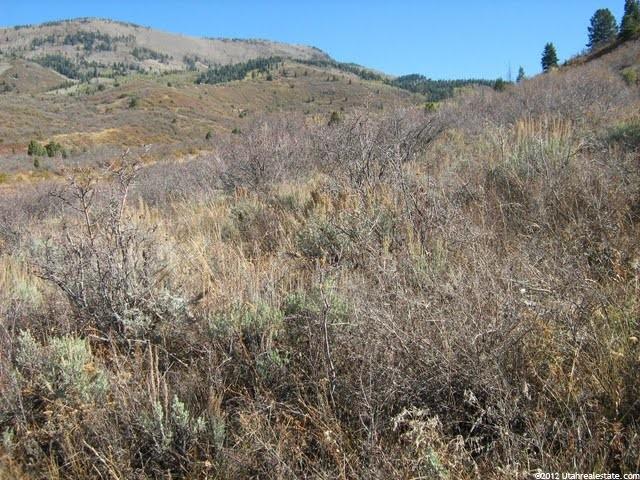 96 Kamas E #96, Kamas, UT 84036 — photo 3