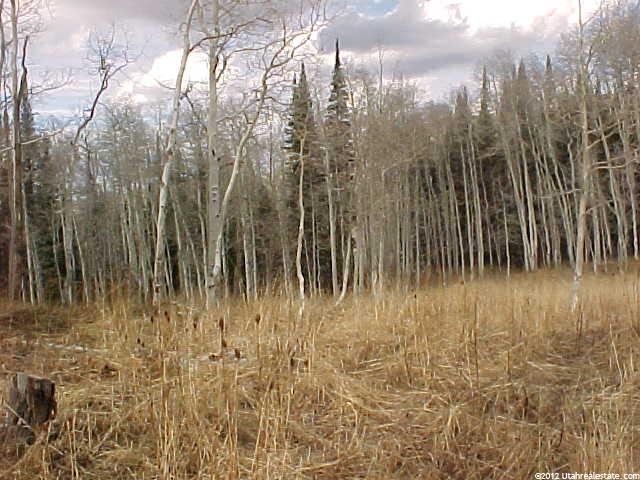 13 00139324 Wasatch Co, Wasatch County, UT 84032 — photo 2