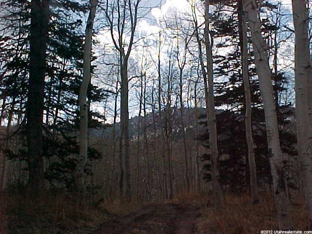13 00139324 Wasatch Co, Wasatch County, UT 84032 — photo 3