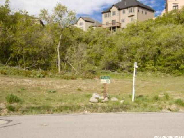 14902 S Saddle Leaf Ct, Draper, UT 84020 — photo 3