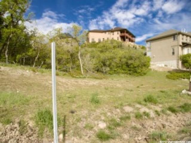14902 S Saddle Leaf Ct, Draper, UT 84020 — photo 5