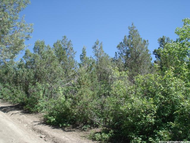 17 Skyline Villa, Fairview, UT 84629 — photo 4