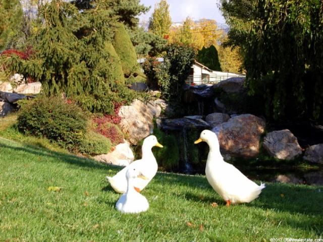 3633 N 1000 W, Pleasant View, UT 84414 — photo 12