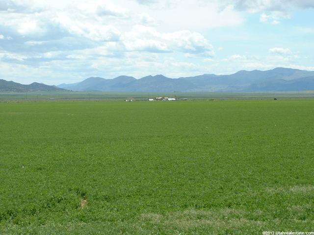 2285 W Powell Ln S, Levan, UT 84639 — photo 9