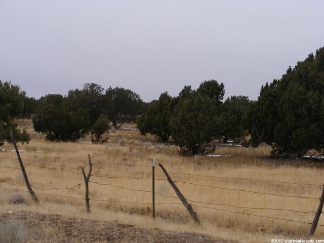 646 E Sheep Trail Rd, Holden, UT 84636 — photo 4